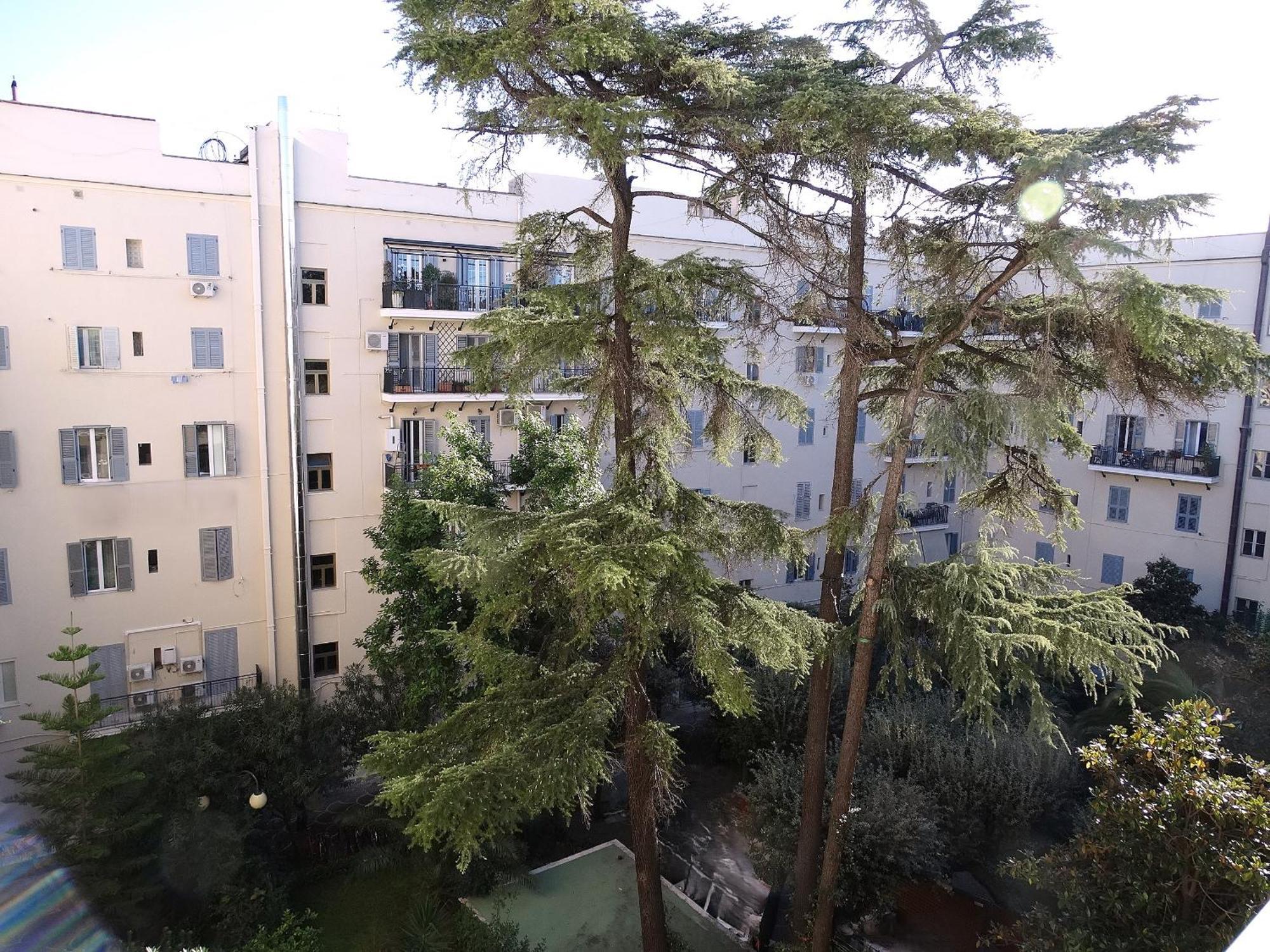 Appartamento Domus Dino Roma Esterno foto