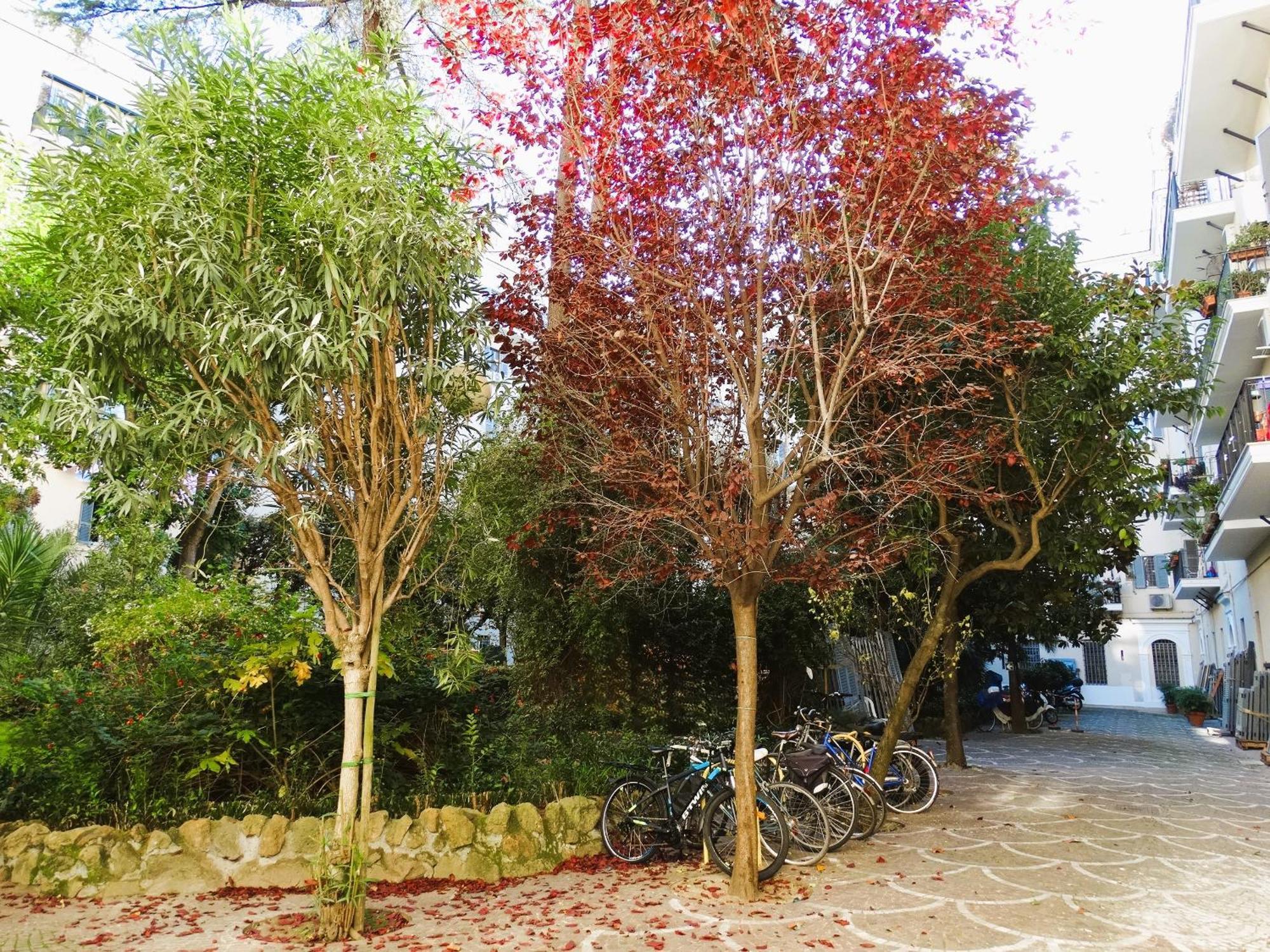 Appartamento Domus Dino Roma Esterno foto